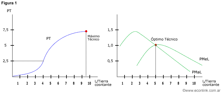 funcion de produccion - producto total, marginal y medio