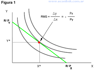 maximización: elección óptima