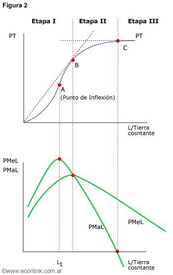 figura 2 - producto marginal