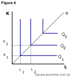 función de producción de proporciones fijas