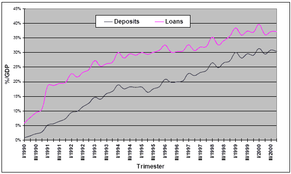 LOANS AND DEPOSTIS - ARGENTINA 1990/2000