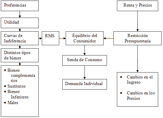 mapa teoría del consumidor